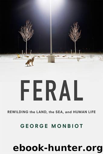 Feral by George Monbiot