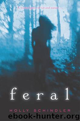 Feral by Holly Schindler