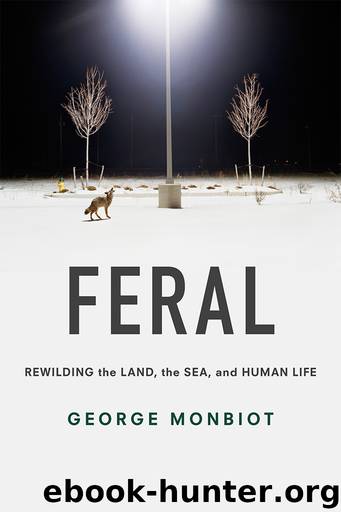 Feral: Rewilding the Land, the Sea and Human Life by George Monbiot