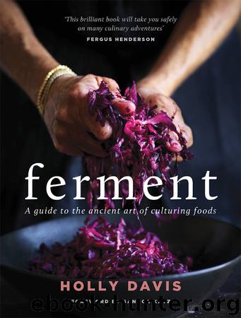 Ferment by Holly Davis