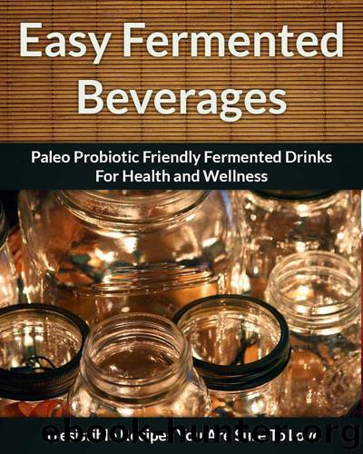 Fermented Beverage Recipes: Paleo Probiotic Friendly Fermented Drinks for Health and Wellness (The Easy Recipe) by Scarlett Aphra