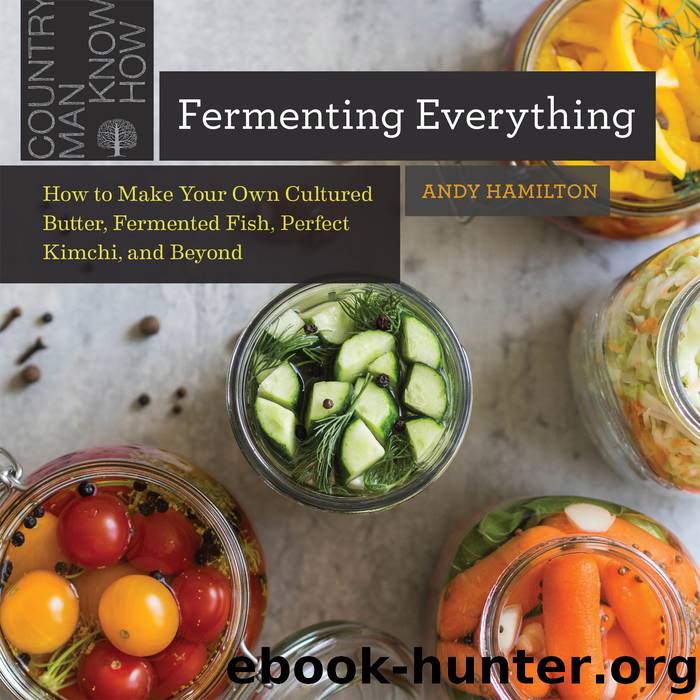 Fermenting Everything by Andy Hamilton