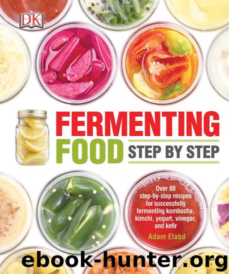 Fermenting Food: Step by Step by Elabd Adam