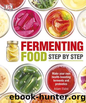 Fermenting Foods Step-by-Step by Adam Elabd