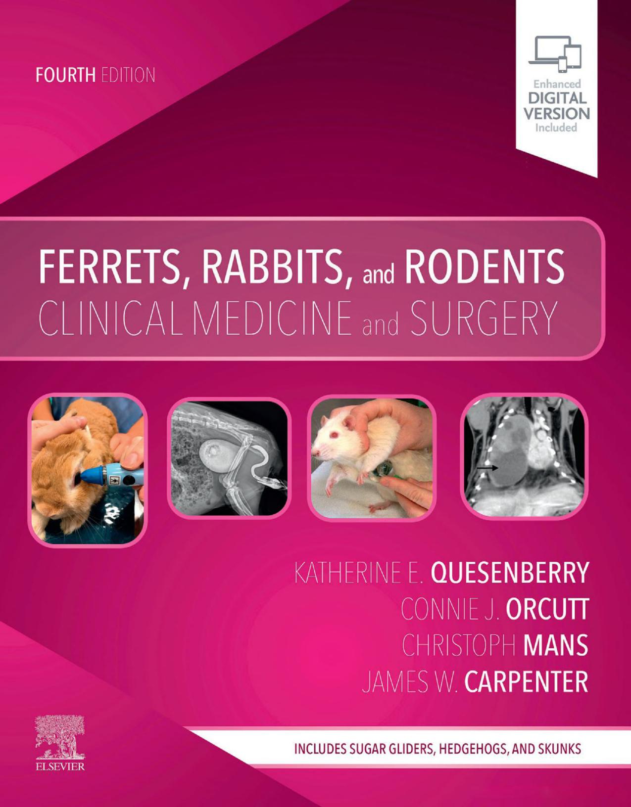 Ferrets, Rabbits, and Rodents: Clinical Medicine and Surgery by Katherine Quesenberry; Christoph Mans; Connie Orcutt