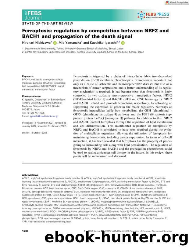 Ferroptosis: regulation by competition between NRF2 and BACH1 and propagation of the death signal by Unknown