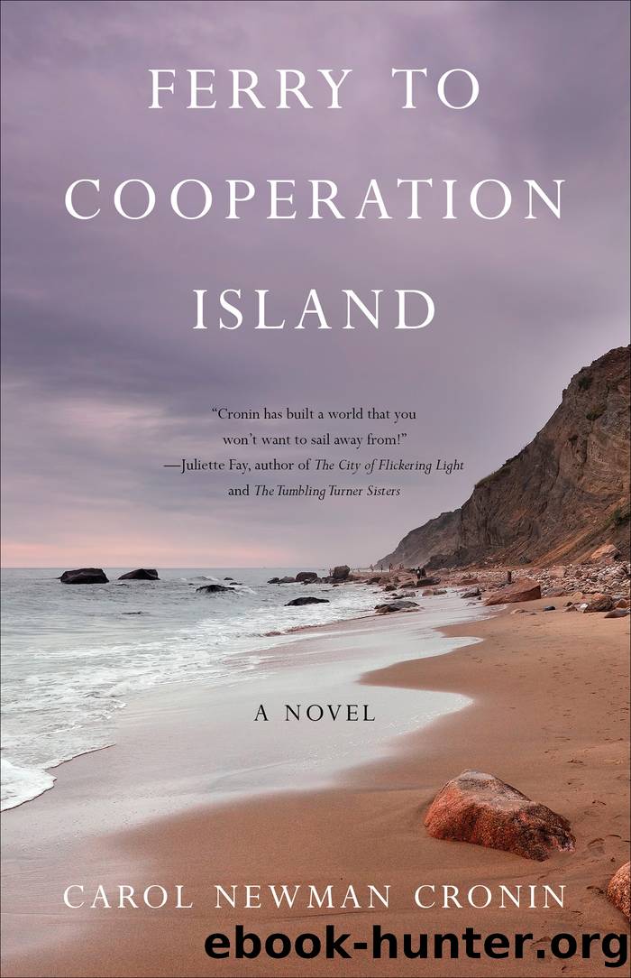 Ferry to Cooperation Island by Carol Newman Cronin
