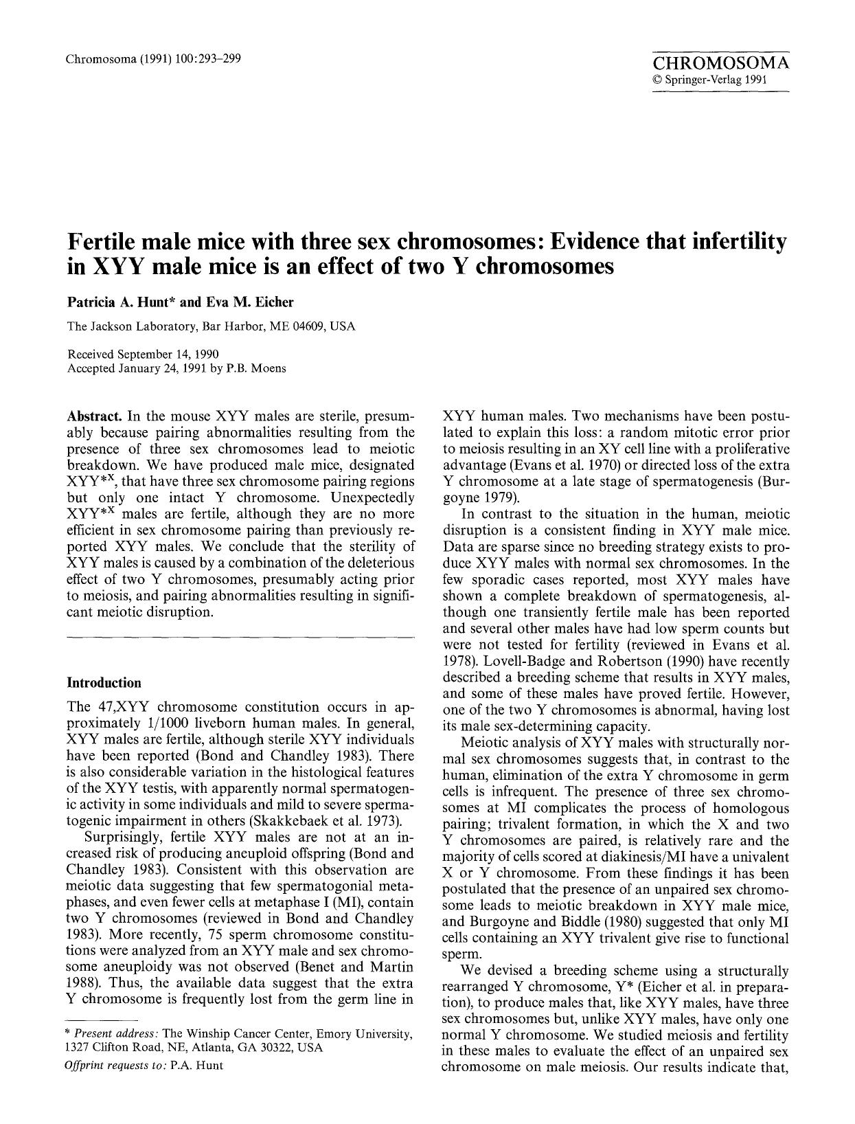 Fertile male mice with three sex chromosomes: Evidence that infertility in XYY male mice is an effect of two Y chromosomes by Unknown