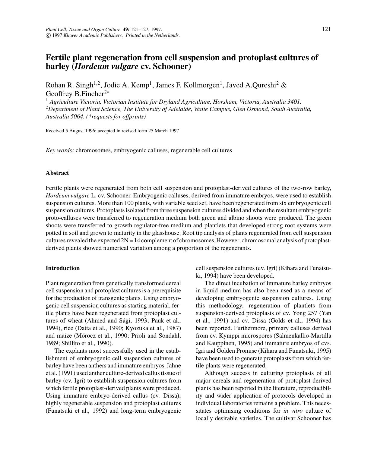 Fertile plant regeneration from cell suspension and protoplast cultures of barley (t Hordeum vulgare cv. Schooner) by Unknown