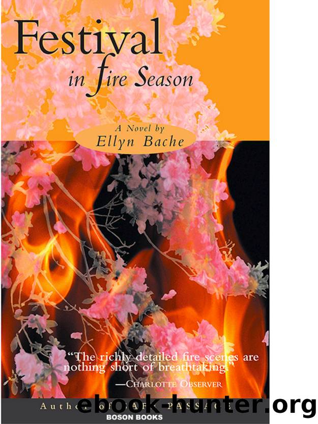 Festival in Fire Season by Ellyn Bache