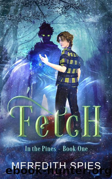 Fetch (In the Pines Book One) by Meredith Spies