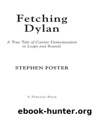 Fetching Dylan by Stephen Foster
