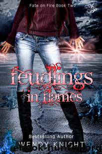 Feudlings in Flames by Knight Wendy