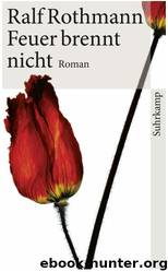 Feuer brennt nicht by Ralf Rothmann