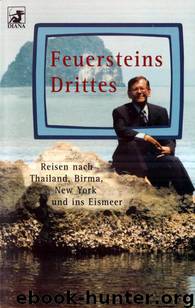 Feuersteins Drittes by Feuerstein Herbert