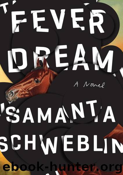 Fever Dream by Samanta Schweblin