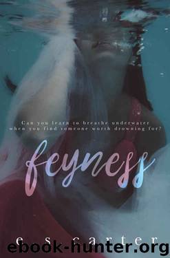 Feyness by E.S. Carter