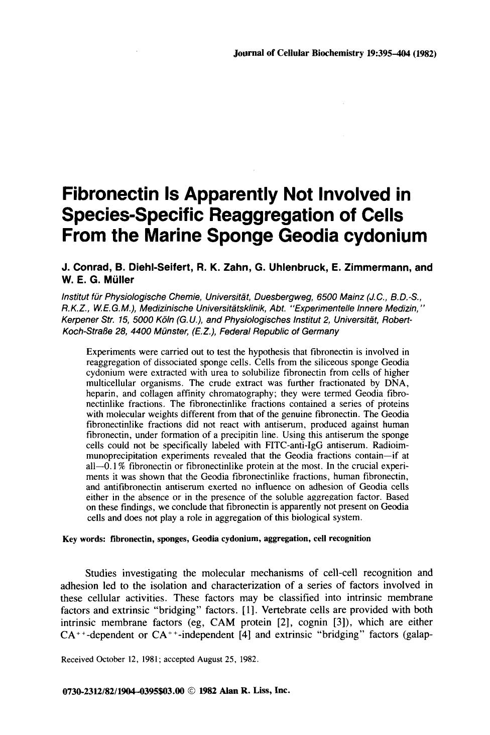 Fibronectin is apparently not involved in species-specific reaggregation of cells from the marine sponge geodia cydonium by Unknown