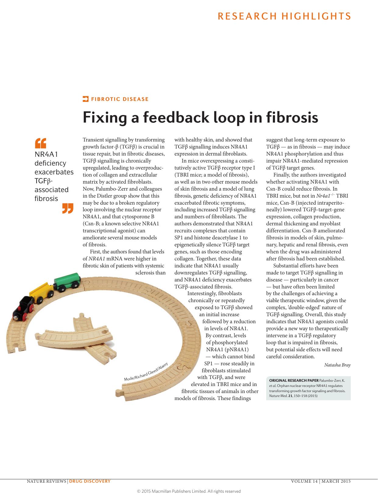 Fibrotic disease: Fixing a feedback loop in fibrosis by Natasha Bray
