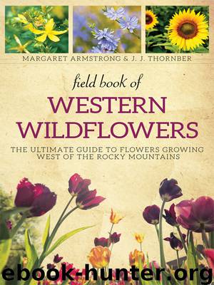 Field Book of Western Wild Flowers by Margaret Armstrong