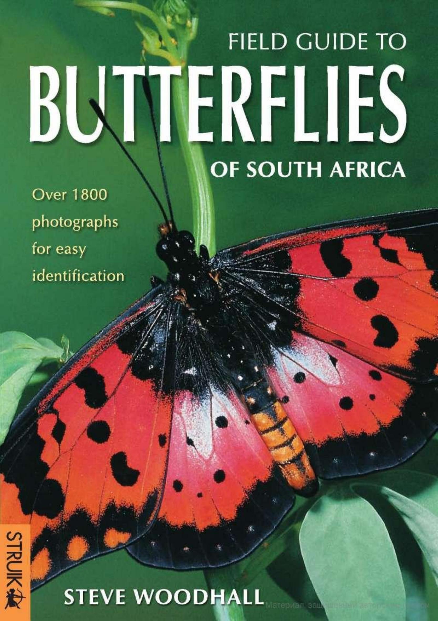 Field Guide to Butterflies of South Africa by Steve Woodhall