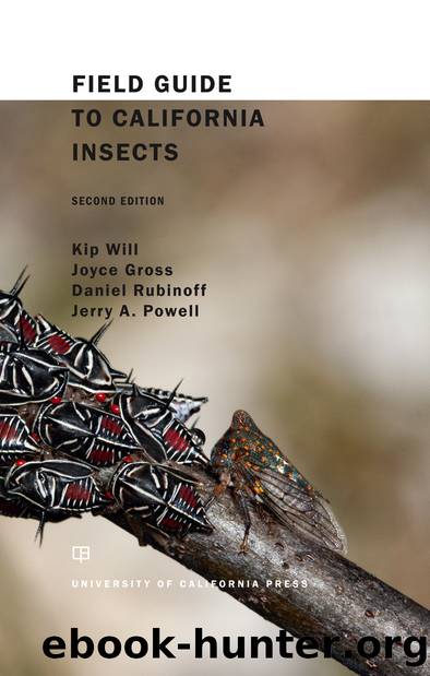 Field Guide to California Insects by Kip Will Joyce Gross Daniel Rubinoff & Jerry A. Powell
