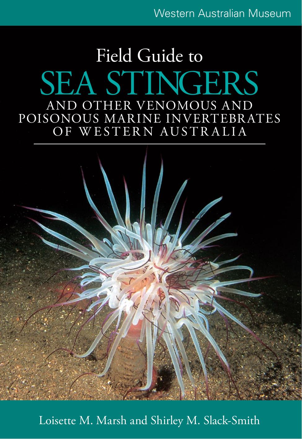 Field Guide to Sea Stingers by Loisette M. Marsh; Shirley Slack-Smith; Dr Desmond L. Gurry