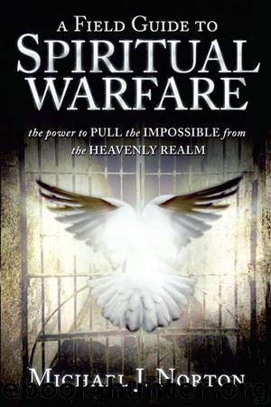 Field Guide to Spiritual Warfare: Pull the Impossible by Michael J. Norton