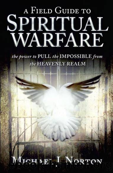Field Guide to Spiritual Warfare: The Power to Pull the Impossible From the Heavenly Realm by Michael J. Norton