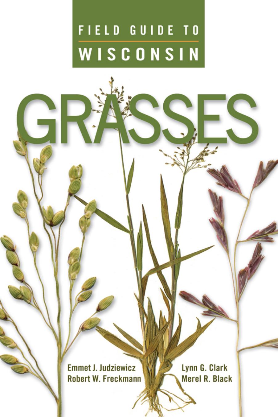 Field Guide to Wisconsin Grasses by unknow