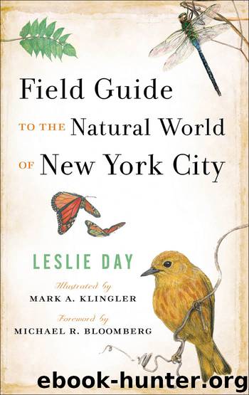 Field Guide to the Natural World of New York City by Leslie Day