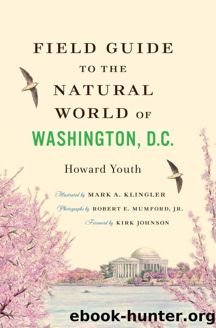 Field Guide to the Natural World of Washington, D.C. by Howard Youth