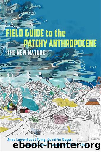 Field Guide to the Patchy Anthropocene by Anna Lowenhaupt Tsing