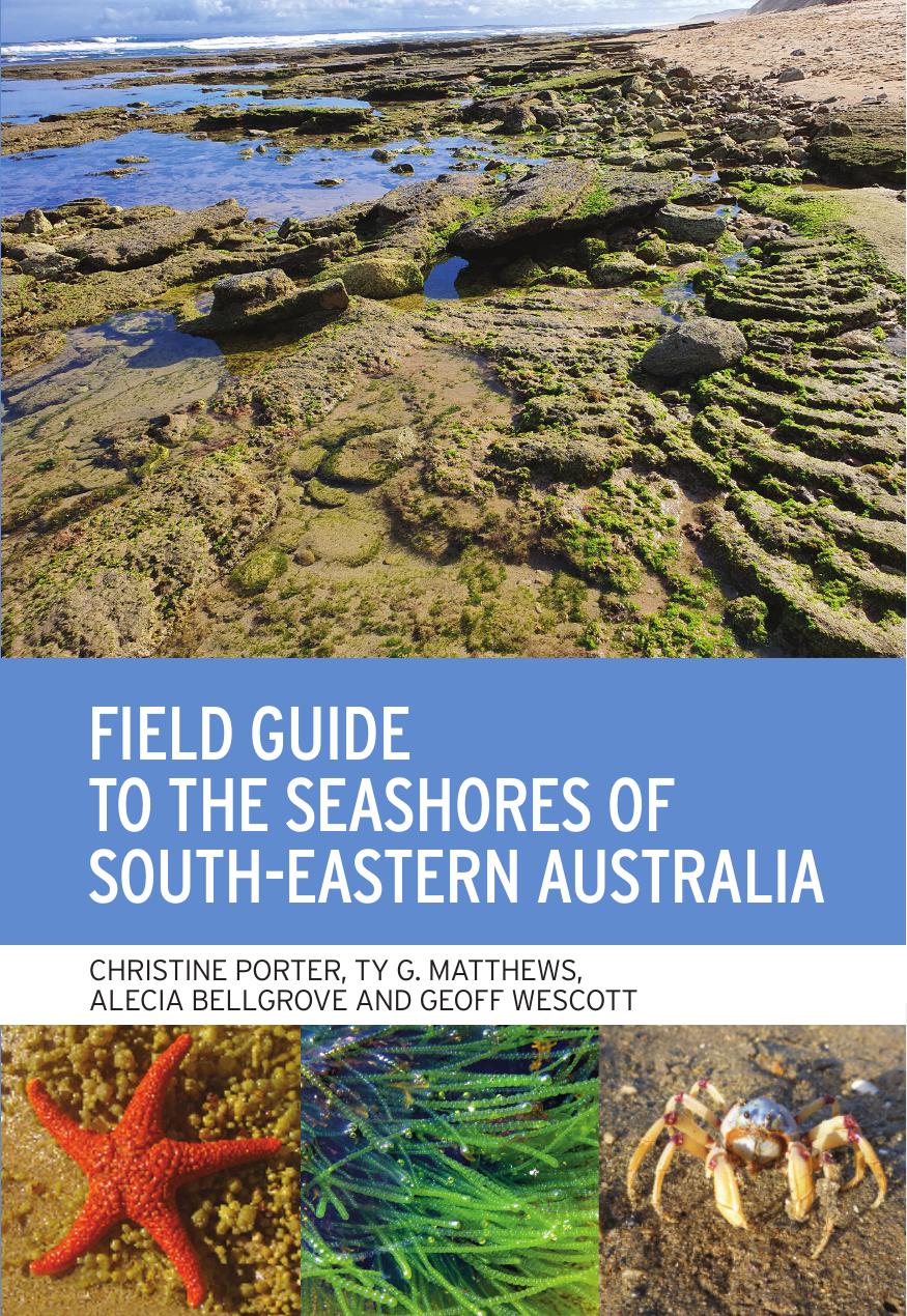 Field Guide to the Seashores of South-Eastern Australia by Christine Porter Ty Matthews Alecia Bellgrove Geoff Wescott