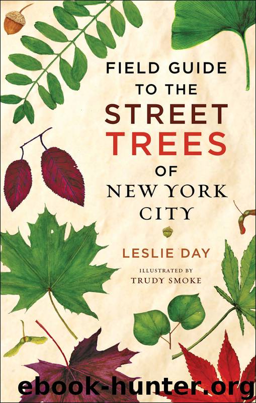 Field Guide to the Street Trees of New York City by Leslie Day