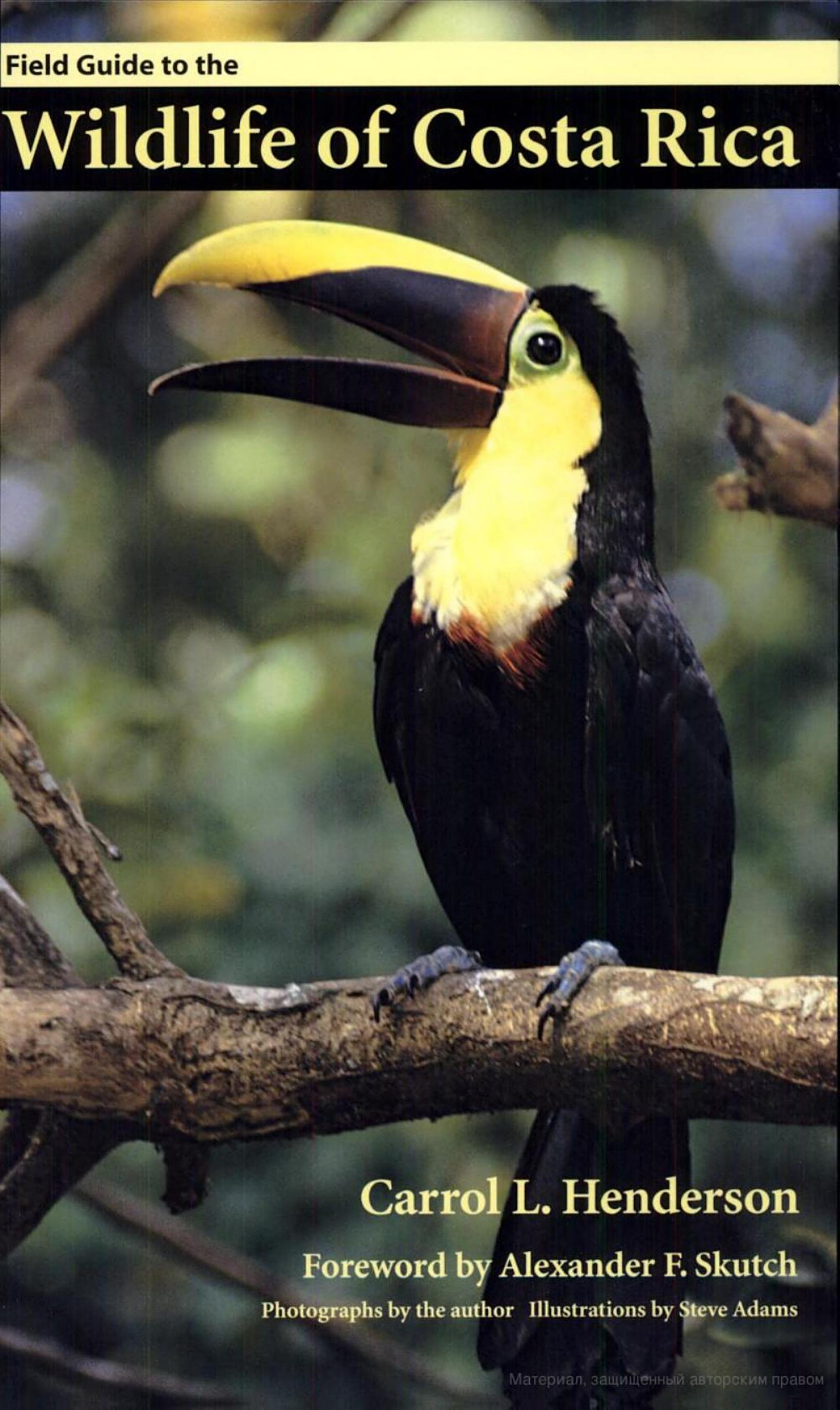 Field Guide to the Wildlife of Costa Rica by Carrol L. Henderson Carrol L. Henderson Steve Adams Alexander F. Skutch