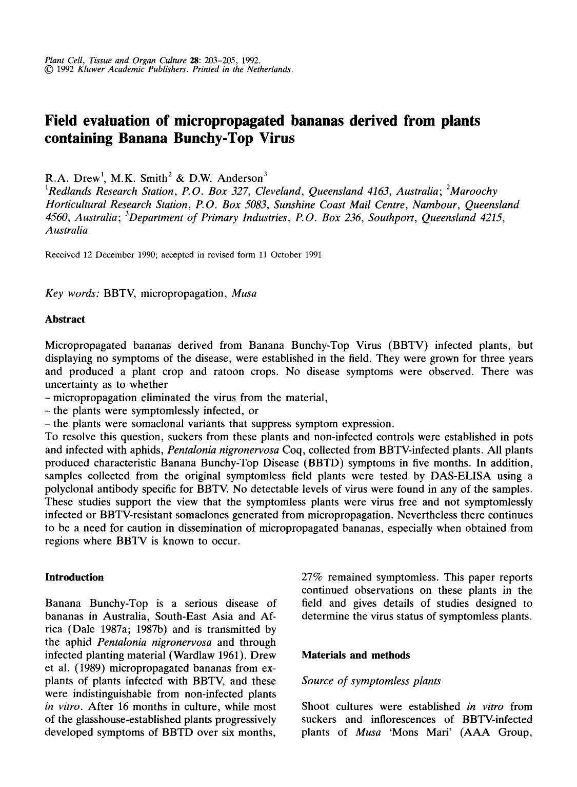 Field evaluation of micropropagated bananas derived from plants containing Banana Bunchy-Top Virus by Unknown