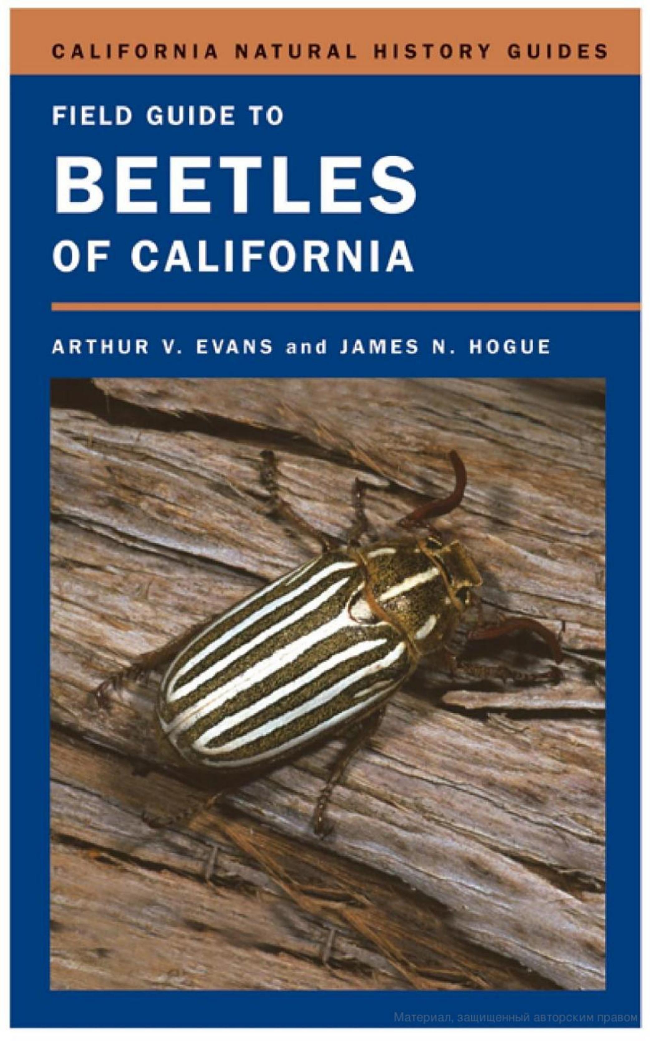 Field guide to beetles of California by Авторы: Arthur V. Evans James N. Hogue
