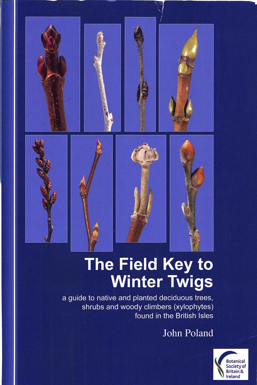 Field key to winter twigs : a guide to native and planted deciduous trees, shrubs and woody climbers (xylophytes) found in the British Isles by Poland John; Walls Robin