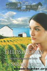 Fields of Corn by Sarah Price