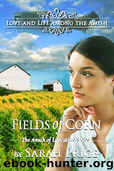 Fields of Corn: The Amish of Lancaster by Sarah Price