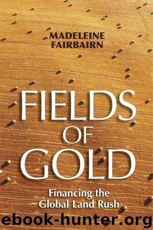 Fields of Gold by Madeleine Fairbairn