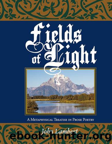 Fields of Light by John Lambert