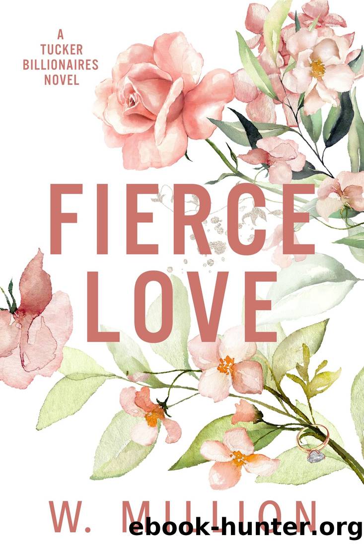 Fierce Love: Tucker Billionaires by W. Million