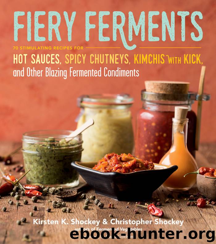 Fiery Ferments by Kirsten K. Shockey & Christopher Shockey