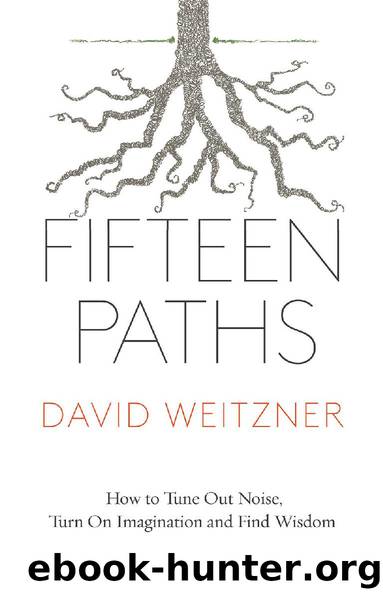 Fifteen Paths by David Weitzner