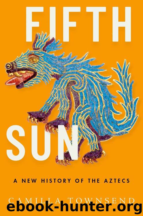Fifth Sun by Townsend Camilla;