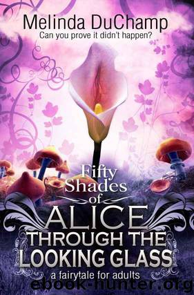Fifty Shades of Alice 2 - Through the Looking Glass by Melinda Duchamp