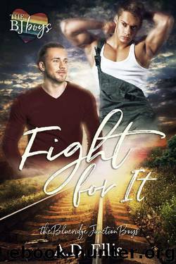 Fight For It (The Blueridge Junction Boys Book 1) by A.D. Ellis