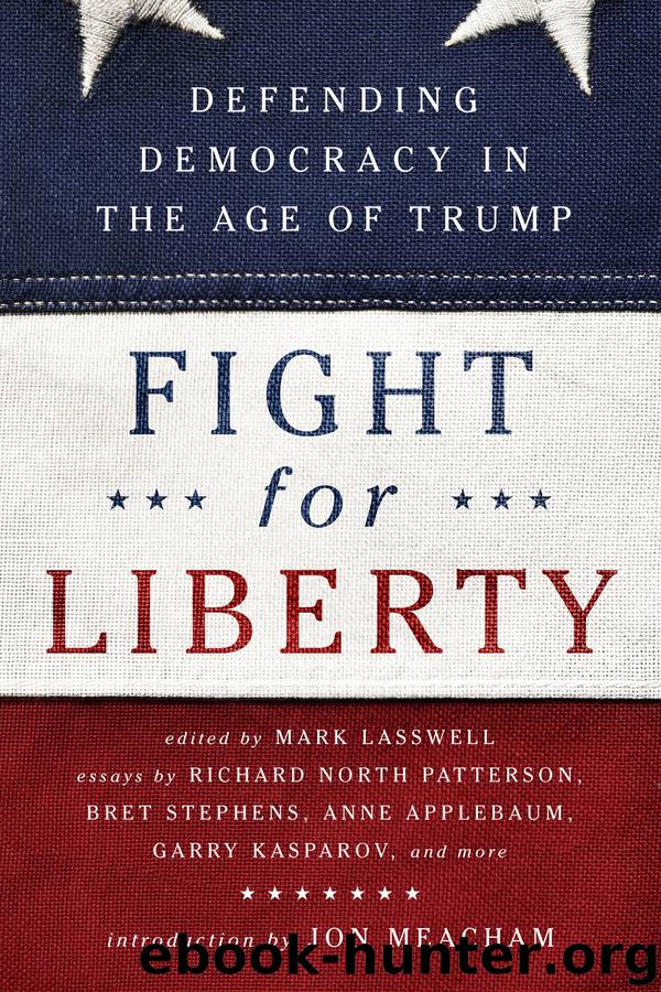 Fight for Liberty by Mark Lasswell